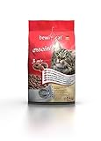 bewi cat