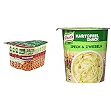 Knorr