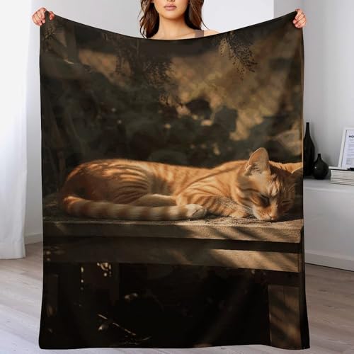 Couverture flanelle chat orange 152x203 cm pour canapé