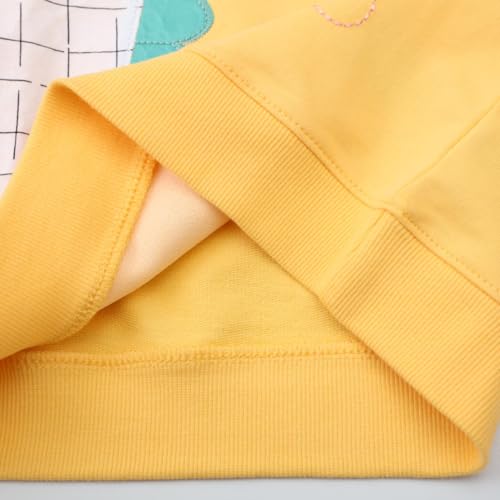 Image of Hongshilian Unisex Kids Cute Cartoon Cotton Sweater Shirt