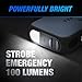 Type S Dynamic D10 1000A Portable Battery Car Jump Starter with Power Bank, 12V 6L Gas 3L Diesel, LCD Display, Battery Jump Box, 8000mAh, LED Flashlight, IP64 Splash-Proof, USB-C & USB-A, UL Listed