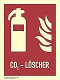 Stell 46.2607 Brandschutzzeichen Schild Feuerlöscher F001 CO2 -Löscher PVC 150x200mm langnachleuchtend ,