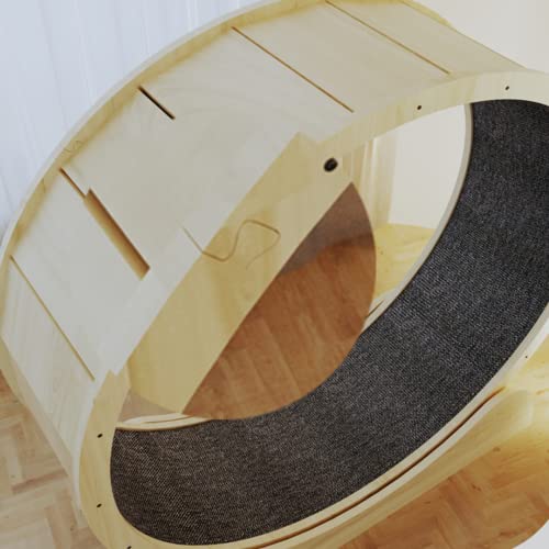 Roue pour chat d'appartement : la solution contre le surpoids - 8