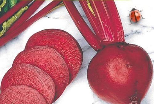 Pcs - 25x Red Turnip Ball 2 Storuman EKO - Beet Seeds Vegetables Garden KS467 - Seeds & Plants Shop by Ipsa