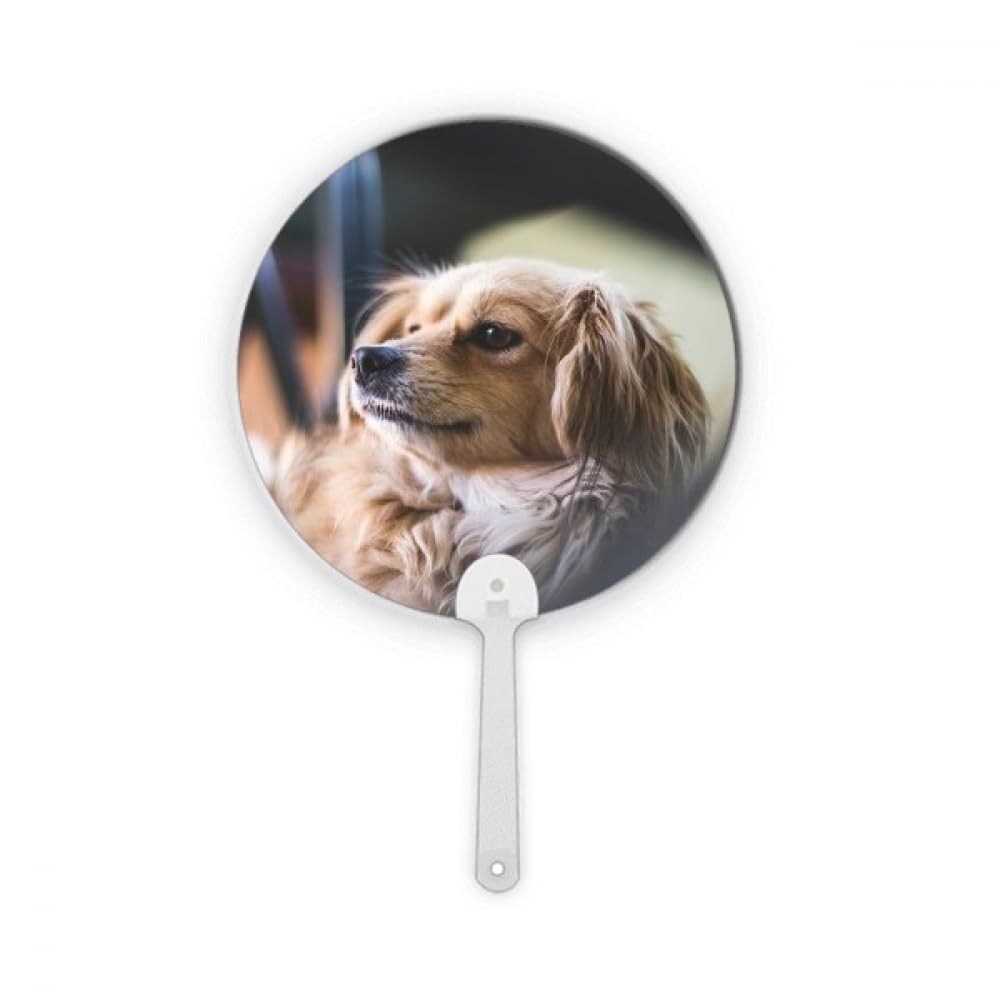 Éventail rond en plastique chien photo décoration artisanat pour maison