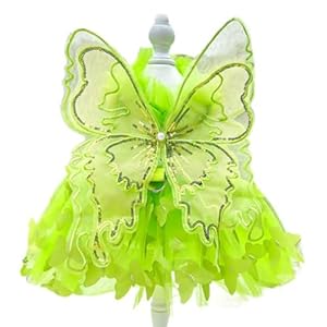 Rainbow Butterfly Dog Dresses for Small Dog Girl Puppy Lace Tutu Princess Dress Cat Outfit Pet Butterfly Costume for Kitten Chihuahua Yorkie Pomeranian (Green, Medium)