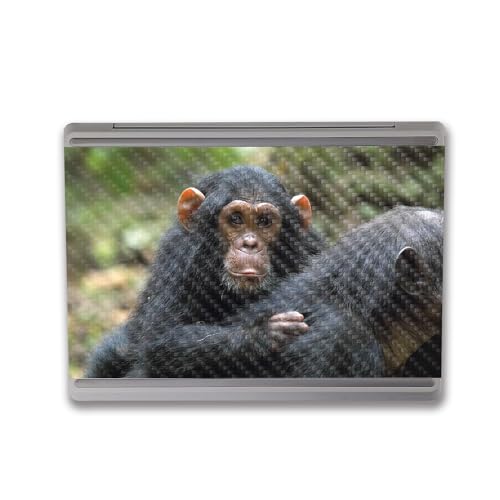 Image of MightySkins Carbon Fiber Skin Compatible with Microsoft Surface Laptop Go 3 (2023) Full Wrap Kit - Baby Chimp | Protective, Durable Textured Carbon Fiber Finish | Made in The USA
