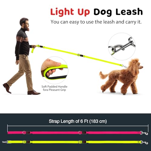 Laisse lumineuse pour chien en nylon vert de qualité supérieure et durable