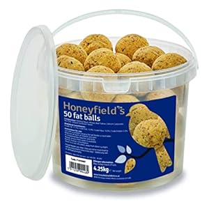 Fat Balls for Wild Birds (50) – High Energy Suet Feed, Nutritious, Great for Hanging Feeders, Attracts Birds to Garden…