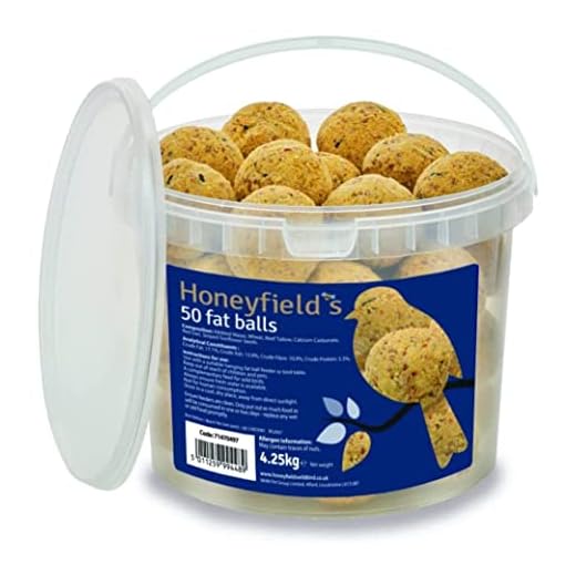 High Energy Fat Balls for Wild Birds