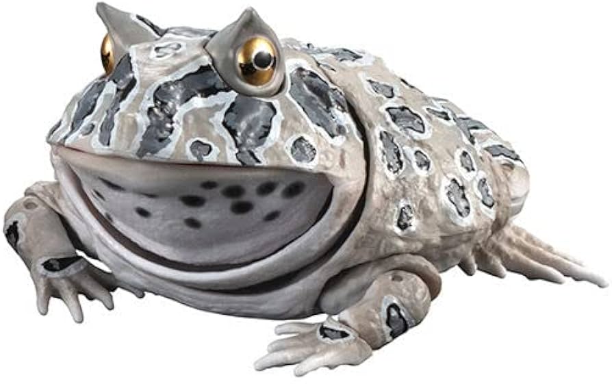 いきもの大図鑑アドバンス ツノガエル 全４種類 おまけ付き リアルフィギュア Amazon | いきもの大図鑑アドバンス ツノガエル 全4種類 リアル