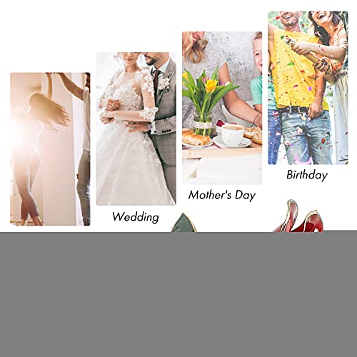 Real Rose 24K Gold Dipped, Presente romântico para o Dia dos Namorados/Dia das Mães/Natal/Aniversári