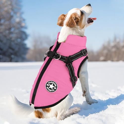 KEYVOR  {A  xXg ȕR[g Ȃ Ԕ DO L ^ ^  hbOEFA H ~ h hWPbg g ybg o U y EȒP  sN 5XL