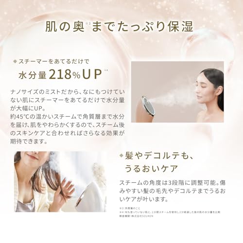 FESTINO フェイシャル クレンジング ナノスチーマー SMHB-033