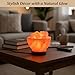 POHS Himalayan Pink Salt Fire Bowl Lamp with Salt Crystal Chunks, dimmable Switch Electrical Cord, with Replaceable Bulbs, Premium Wood Base