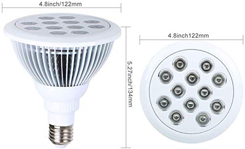 Dispositivo per Terapia della Luce Rossa Dotato di...