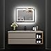 WATERPAR 24x36 LED Bathroom Mirror Smart Dimmable and Anti-Fog Wall-Mounted Vanity Mirror Vertical/Horizontal