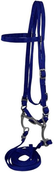 Pony Nylon Headstall w/Bit & Reins