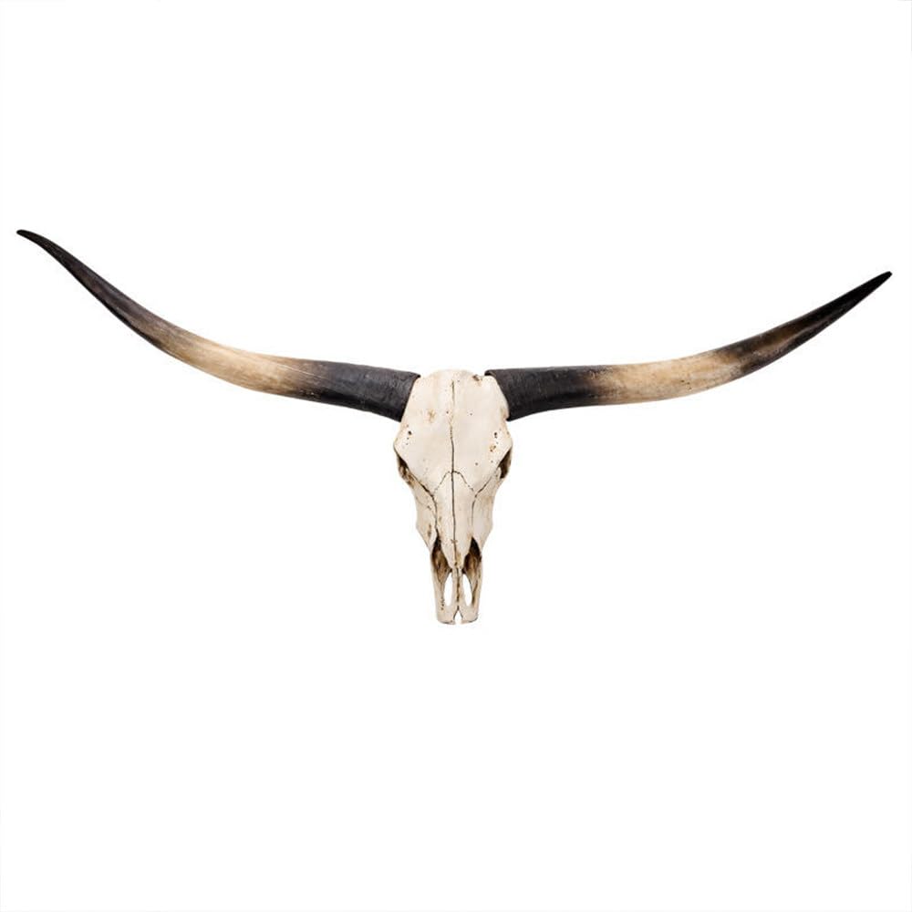 70 Pollici-Decorazione da Parete con Corna Lunghe, Decorazione della Parete Longhorn Skull 70 Pollici, Corna Lunghe Bisonte Sculture Testa in Finta Tassidermia,Placca Muro Artigianato Black