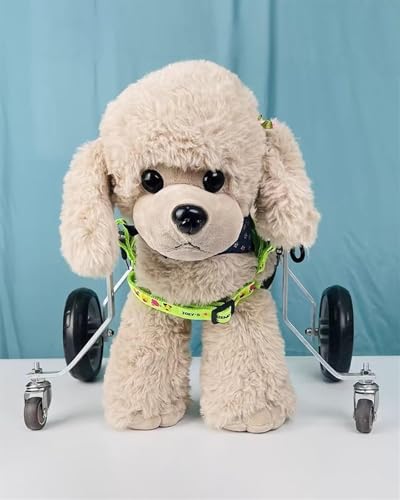 Chariot de mobilité pour animaux de compagnie après blessure - Fauteuil XS réglable