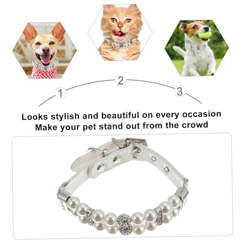 JOINPAYA p߉\p[lbNX U[ybgւƃ[h _XgbvŒEȒP Ȓ^pt@bVANZ