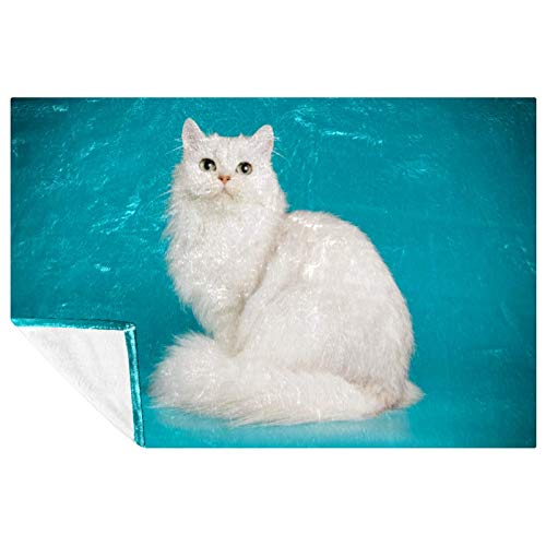 Couverture chat écossais douce chaude lit canapé pique-nique camping 150x100