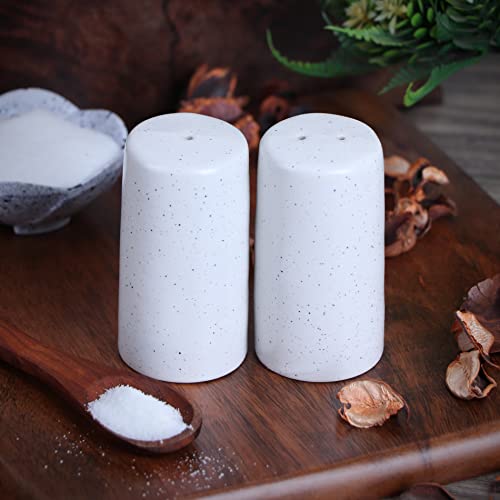 Image of Indian Handcrafted Ceramic Salt and Pepper Shaker /Dispenser Set with Perfect Pour Holes for Kitchen Dining Table Picnic Office Restaurant Hotel (Set of 2) White Mat