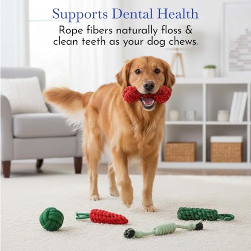 Image of PETS EMPIRE Dog Chew Toys with Knots Combo of 5 Ropes All Puppy Breeds & Aggressive Chewers, Teething Rope, Fetching Rope Dog Toy for Interactive Play and Training