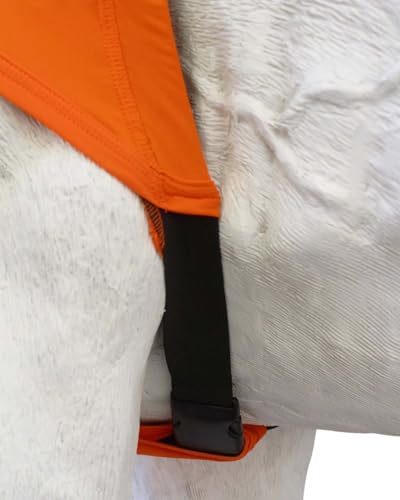 Image of CHALLENGER Large Horse Comfort Stretch Spandex Neck Hood Mane Stay Black