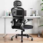 Président du Bureau ergonomique,Ultra chaise de bureau à ressort épais, noir, support et appuie-tête réglables Lombaire, Armes rabattables, fonction de rotation, chaise informatique de bureau de Mesh