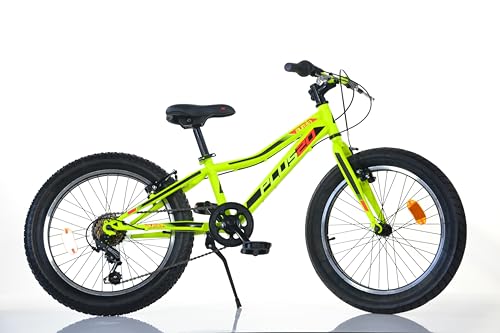 Dino Bikes Mountain Bike Fat bambino 20 pollici