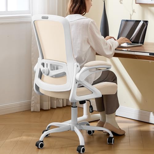 Nexthro Ergonomic Office Desk Chair with Adjustable Lumbar