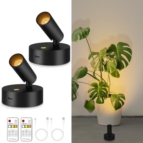 lobolighting Focos inalámbricos para interiores con control remoto, paquete de 2 focos que funcionan con pilas, luces LED negras con temporizador, luz de pared regulable para obras de arte de plantas