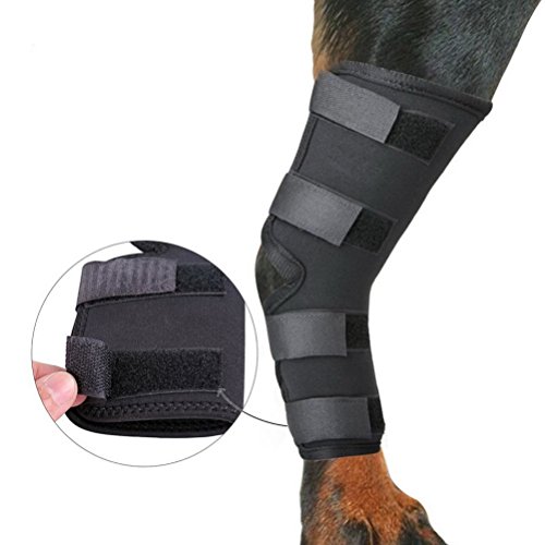 Zunea 2Stück Hund Hunde hinten Bein Hock Bandage Hinterbein schützt Wunden Wrap Kompression Klammer heilt für Wunde Verletzungen und Verstauchung Heilung von Arthritis Schwarz M