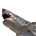 Lana Toys Megalodon Shark Sea Ocean Animal PVC Figure Figurine Gift