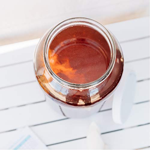 Kombucha Scoby and Starter Tea, Live Kombucha Starter Liquid, Kombucha Tea Starter Culture, Brew Kombucha at Home, Makes a 1 Gallon Batch of Kombucha, No Vinegar, No Artificial Flavors - Thumbnail 7