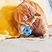 Leefasy 5X Toy Interactive Toy Soccer Ball Cat Toy Football Dog Toy for Kitten