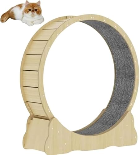 AZIEBAY LpLbgzC[ ^s L̗Vя XgXUp ]zC[ SĂIт