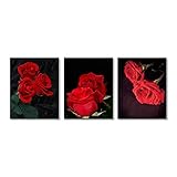 Vintage Black Art Painting Red Rose Wall Art Paintings Set of 3 (8”X10” Canvas Picture) Modern...