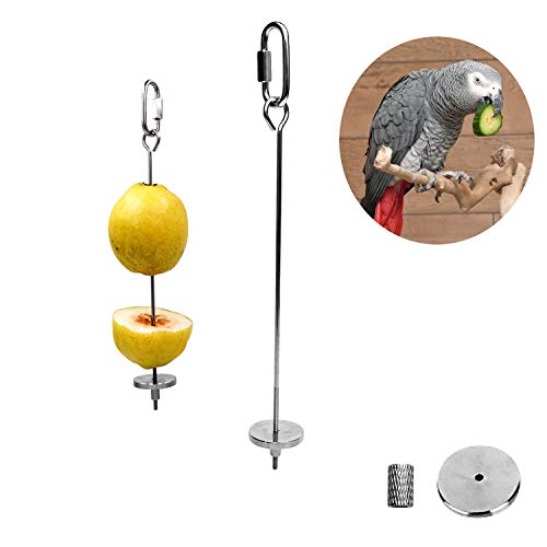 Bird Food Holder, Bird Feeder Toy, Bird Small Animal Fruit Vegetable Holder Stainless