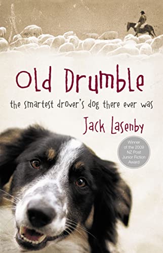 Old Drumble view 2