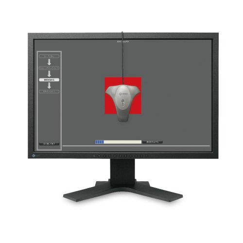 Amazon.co.jp: NANAO FlexScan 24.1インチ ワイドTFTモニタ EASYPIX