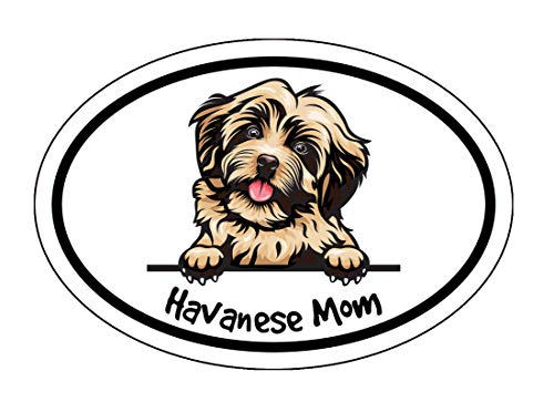 Sticker havanese maman chien décoration pour fenêtre et auto