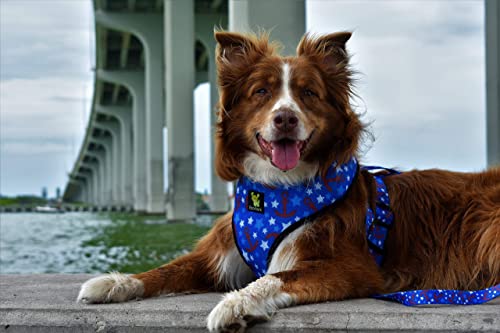 Image of EcoBark Pet Supplies The Ecobark Control Dog Harness 4-65 Lbs; No Pull & Choke Design, Luxurious Padded Vest, Eco-Friendly, for Puppies and Dogs - XXL, Nautical