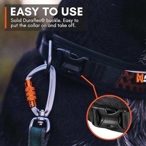 Non-stop dogwear Rock Collar Adjustable |3446| Verstellbares Funktionshalsband, Größe:M