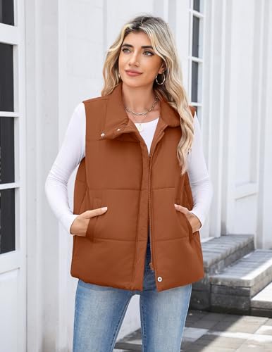 Zeagoo Puffer Vest Women Stand Collar Sleeveless Fall Jackets Zip Up Puffy Outerwear Quilted Gilet Winter Pocket Outfits4