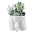 Lourich Body Vases for Decor - Penis Planter Pot, Male Body Plant Pots - Penis Vase Funny Planter Gift for Succulents and Cacti (White, Large)