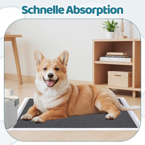 100 Stück PIPI Matten für Hunde 33 × 45 cm, Welpen Unterlagen Trainingspads, Super Saugfähige Oberfläche, Puppy Pads für Kranke und Inkontinente Tiere
