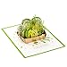 Hallmark Signature Paper Wonder Pop Up Thank You Card, Succulents (Nurses Day Card, Teacher Appreciation, Healthcare Worker Gift) (1299RZH1132)