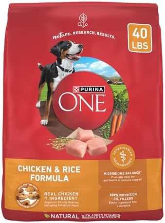 Purina ONE Chicken and Rice Formula Dry Dog Food - 40 lb. Bag